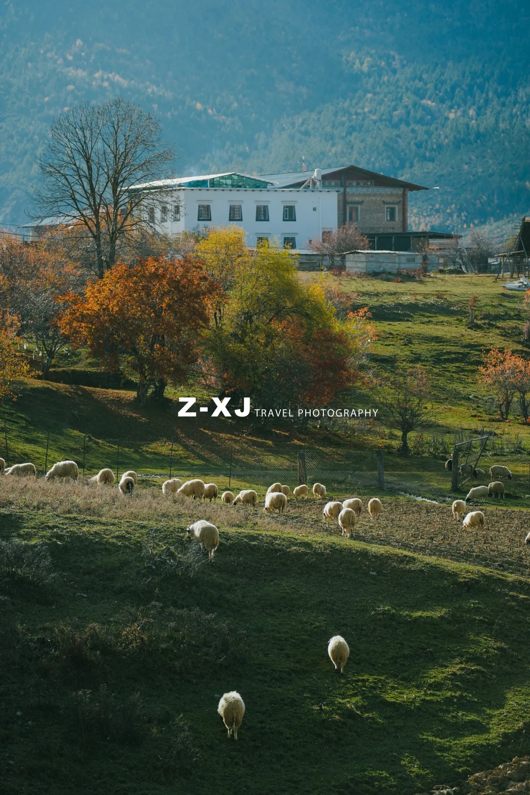 把今年的秋天🍂留给香格里拉_3_赵相机📸_云南-香格里拉-来自52tours 我爱旅游网